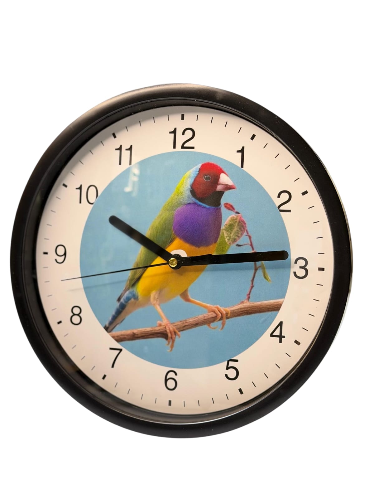 Wanduhr mit Gouldamadine-Motiv Ø 23cm.