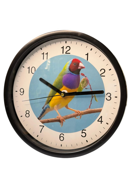 Wanduhr mit Gouldamadine-Motiv Ø 23cm.