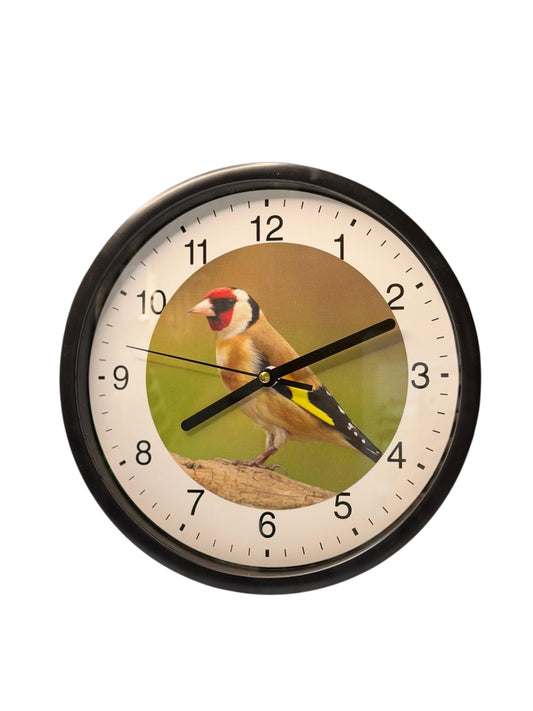 Wanduhr mit Stieglitz-Motiv Ø 23cm.