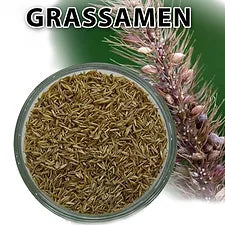 Grass seeds ''Blattner''