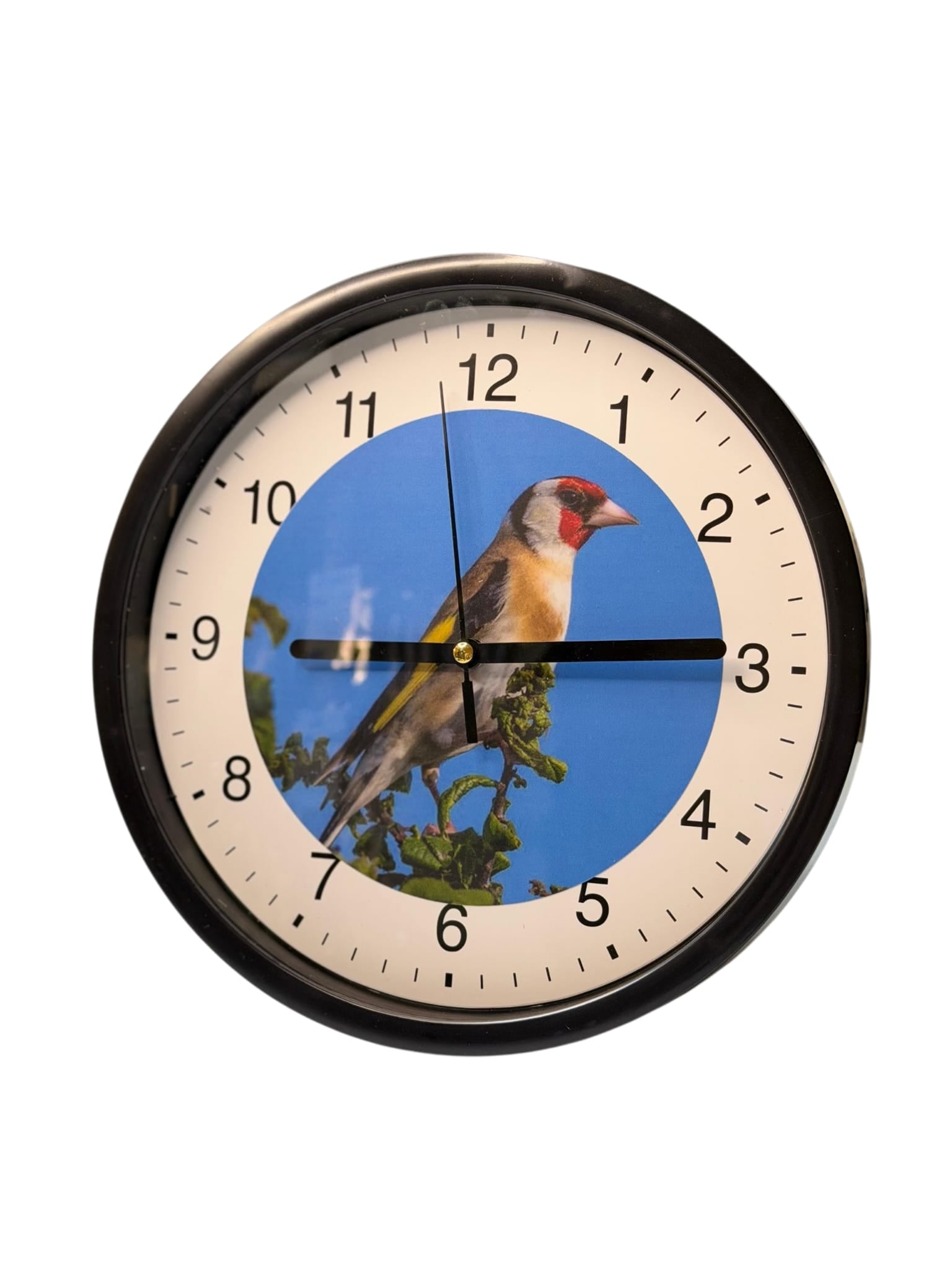 Wanduhr mit Stieglitz-Motiv Ø 23cm.