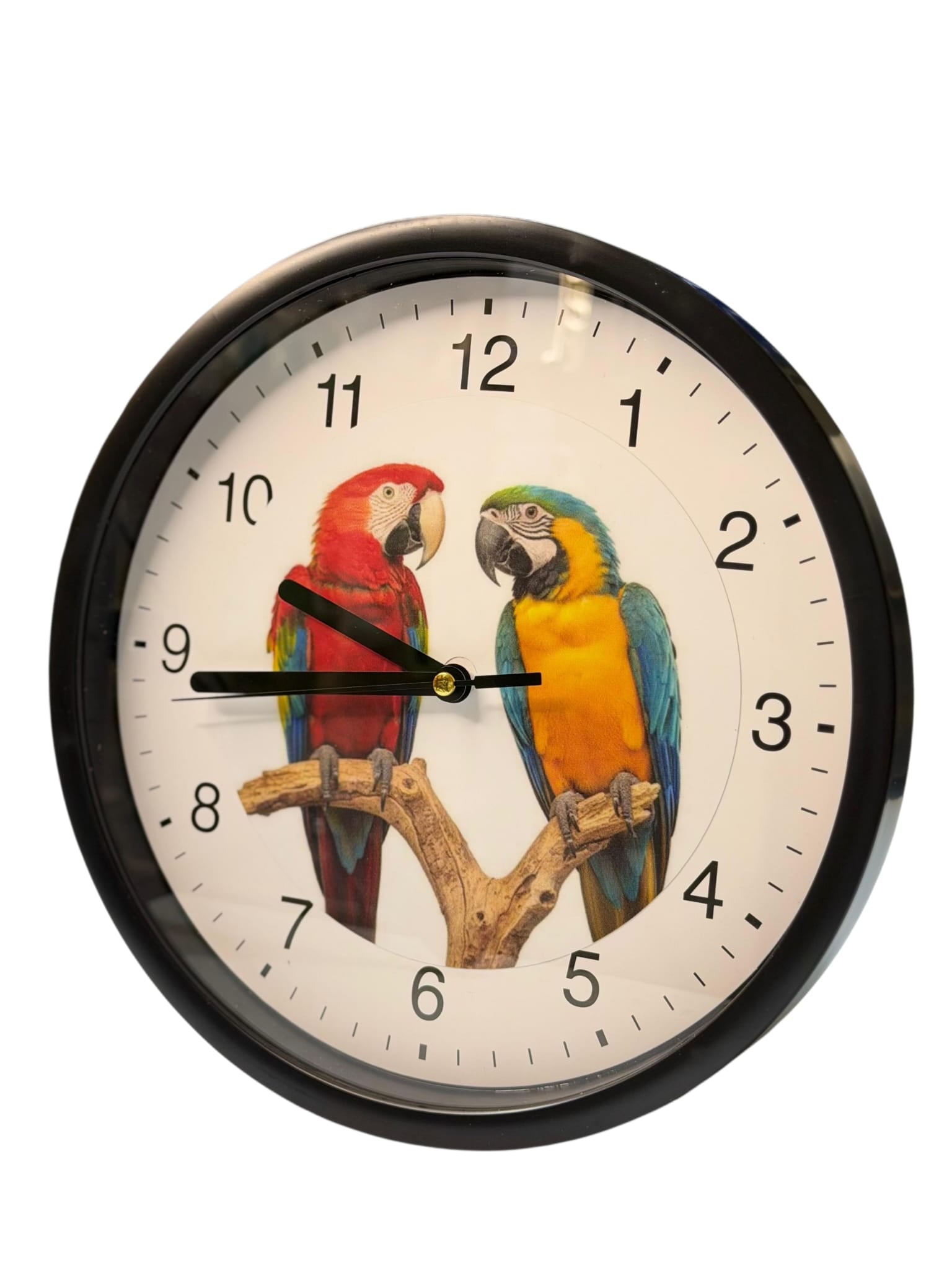 Wanuhr mit Ara-Motiv Ø 23cm.