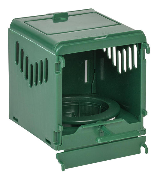 Kaisernest (Samsara) Grün