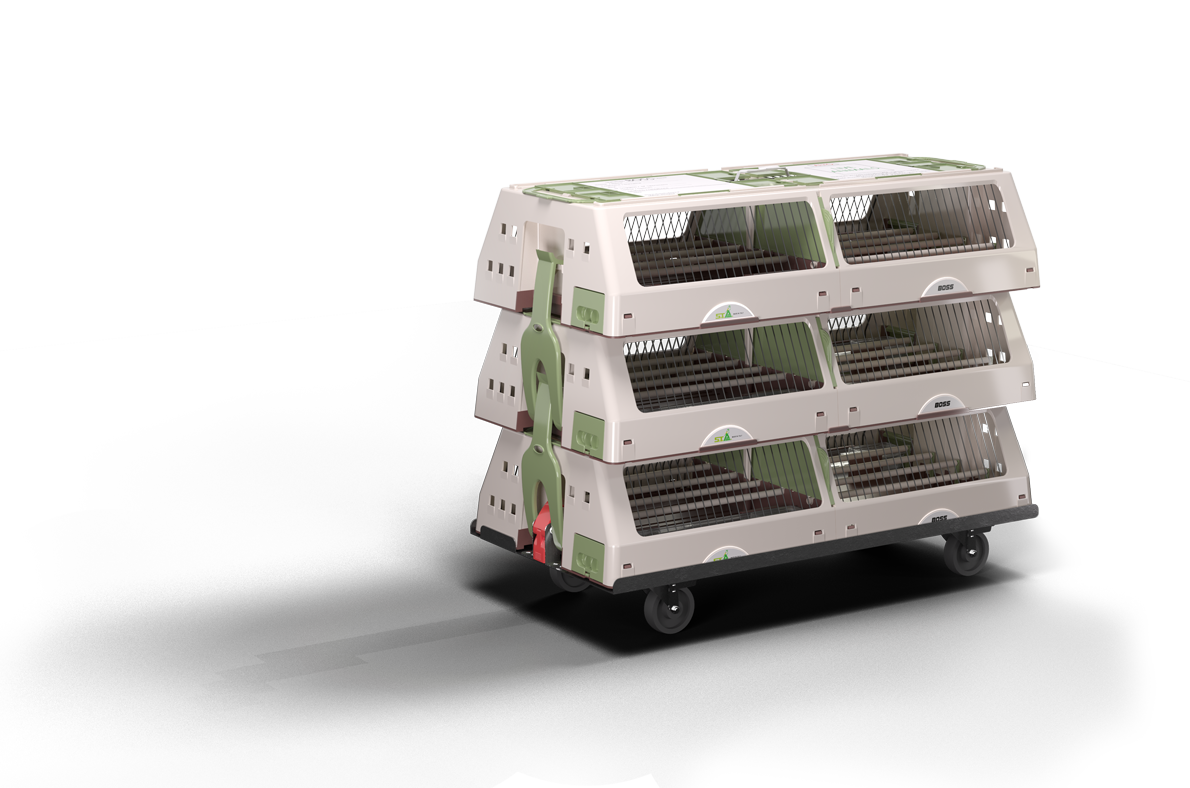 Transport & Importbox IL Boss