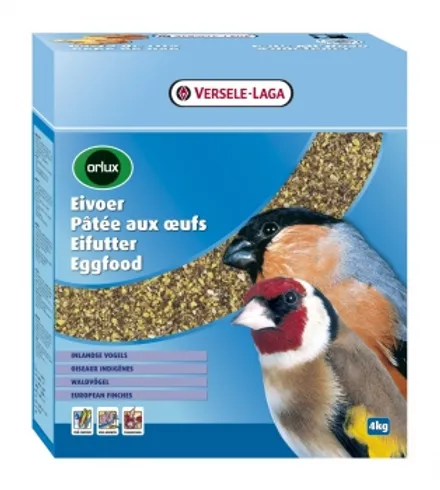 Orlux forest bird egg food