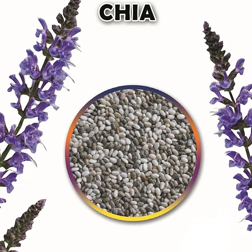 Chia tohumları