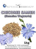 Load image into Gallery viewer, Chicory seeds (common chicory)
