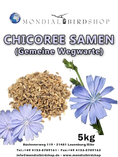 Load image into Gallery viewer, Chicory seeds (common chicory)
