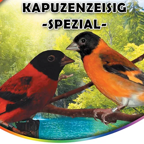 Kapuzenzeisig Spezial ''Blattner''