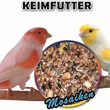 Keimfutter Mosaiken ''Blattner''