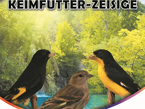 Keimfutter Zeisige ''Blattner''