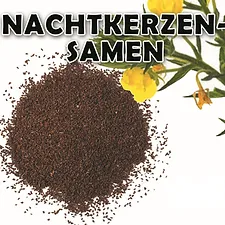 Nachtkerzensamen ''Blattner''