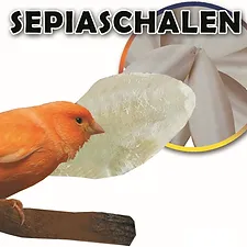 Sepiaschalen