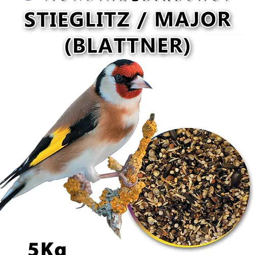 Stieglitz Binbaşı Özel "Blattner"