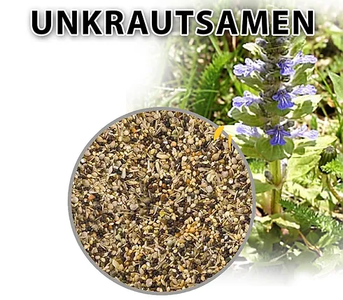 Unkrautsamen