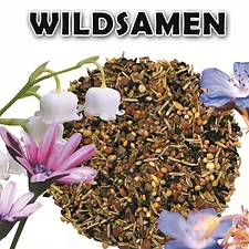 Wild seeds ''Blattner''