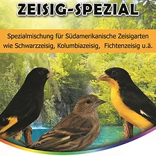 Siskin Special ''Blattner''