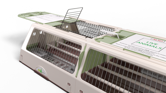 Transport & Importbox IL Boss