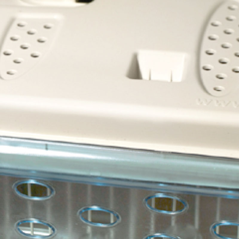 Transportbox "Safari" mit Deckel