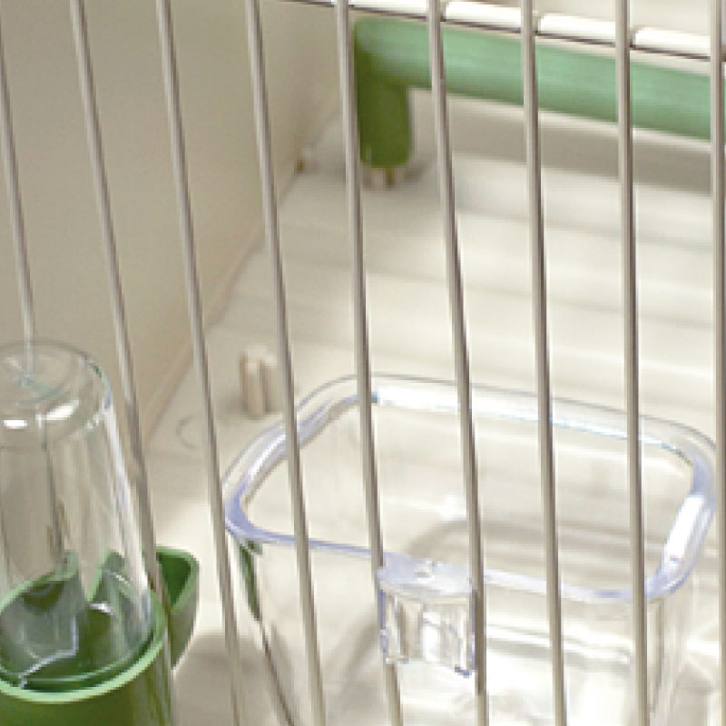 Transportbox "Safari" mit Deckel