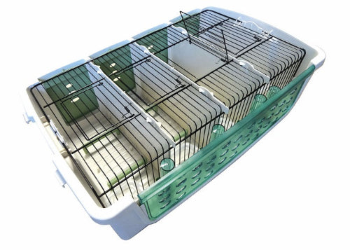 Transportbox "Safari" mit Deckel