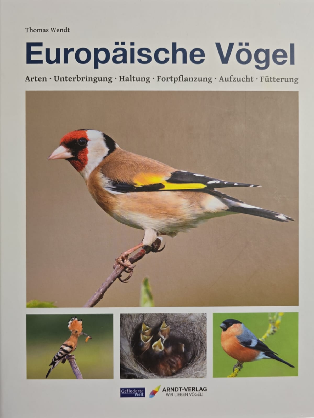 Thomas Wendt - Europäische Vögel