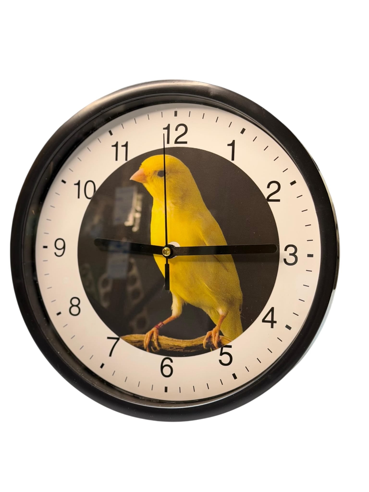Wanduhr mit Kanarien-Motiv Ø 23cm.