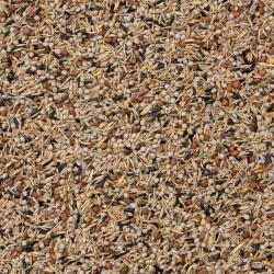 98-Amerikanische Zeisige 2,5 Kg. Deli-Nature